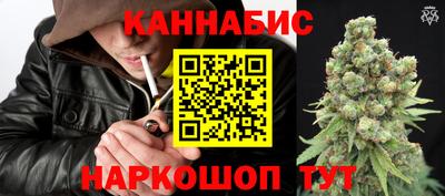 apvp Канаш