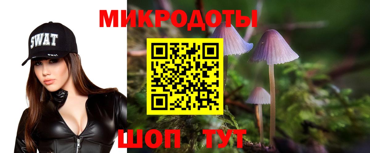 Галлюциногенные грибы MAGIC MUSHROOMS  Вход с VPN  Псилоцибиновые грибы мухоморы  Кудрово 