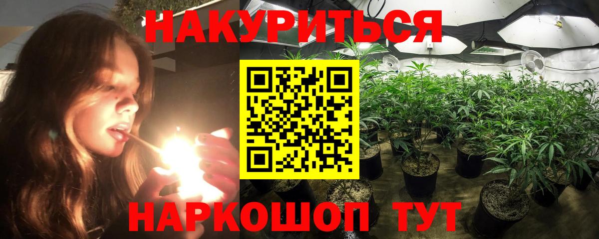 Кудрово  Шишки марихуана Ganja  Конопля гибрид  Бошки Шишки Amnesia  Вход с VPN  Шишки марихуана сатива 